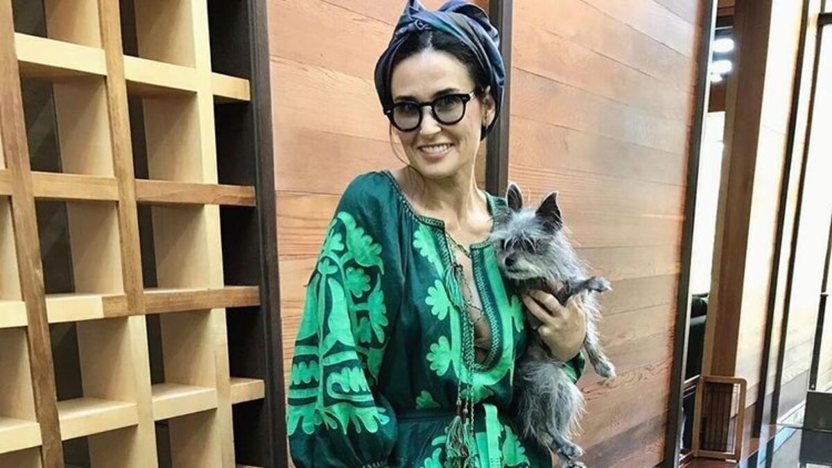 Мей Маск, Сальма Гаєк і Демі Мур: світові зірки обирають українські вишиванки