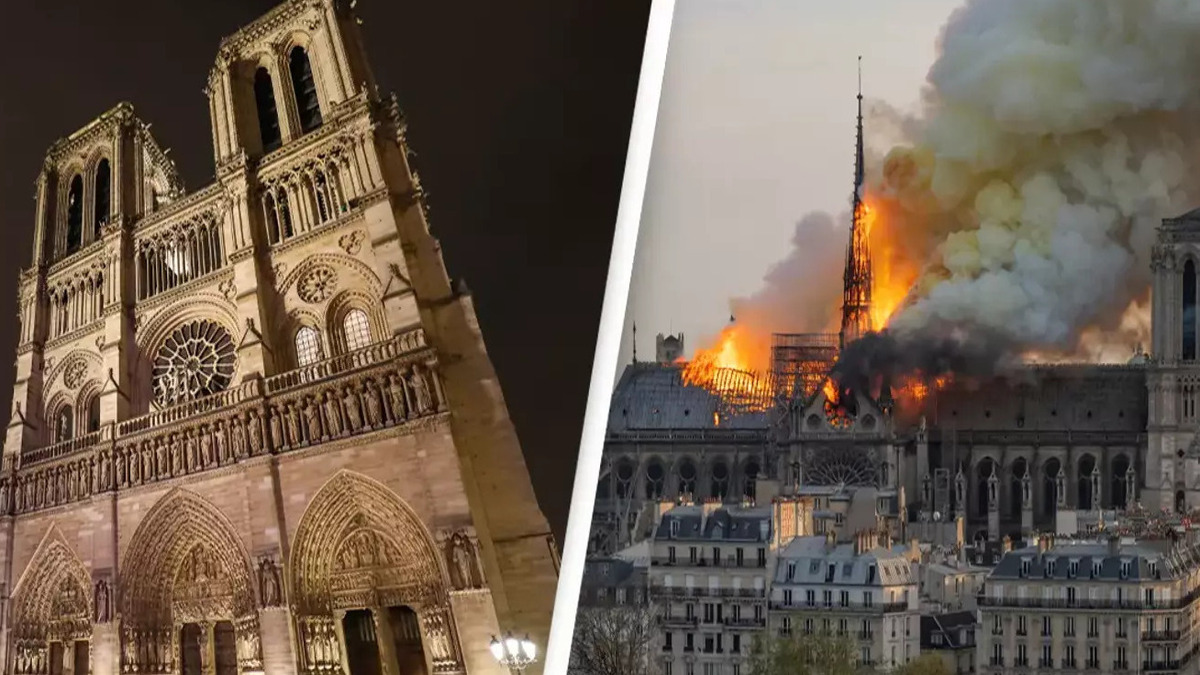 Відновлений Собор Паризької Богоматері готовий приймати відвідувачів