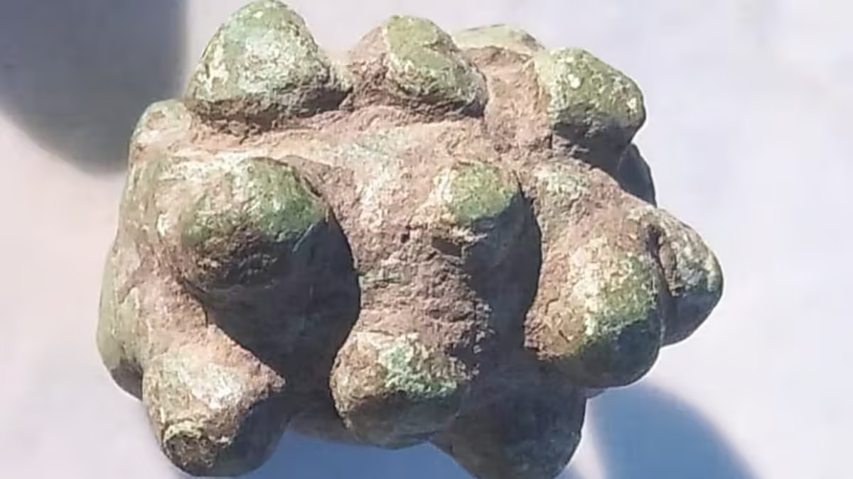 На українському узбережжі Дунаю виявили протомонети кельтів