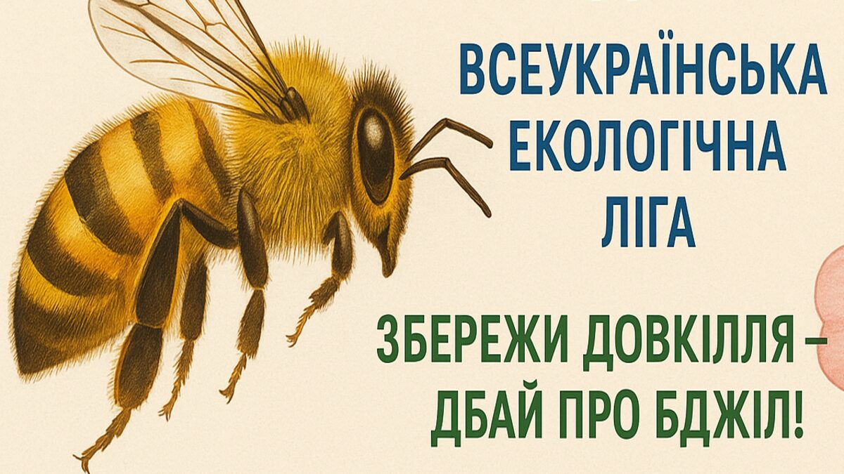 Бджола — культурний символ і екологічний маркер: чому її важливо берегти