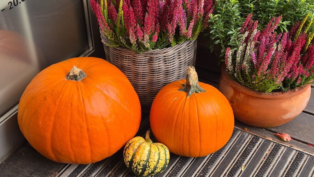 Калейдоскоп жовтня: яскраві фото з Кам’янського для вас!