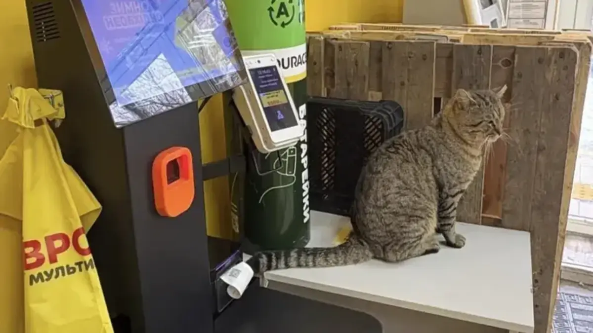 Життя дорожче за правила: UAnimals бореться за право тварин на тепло