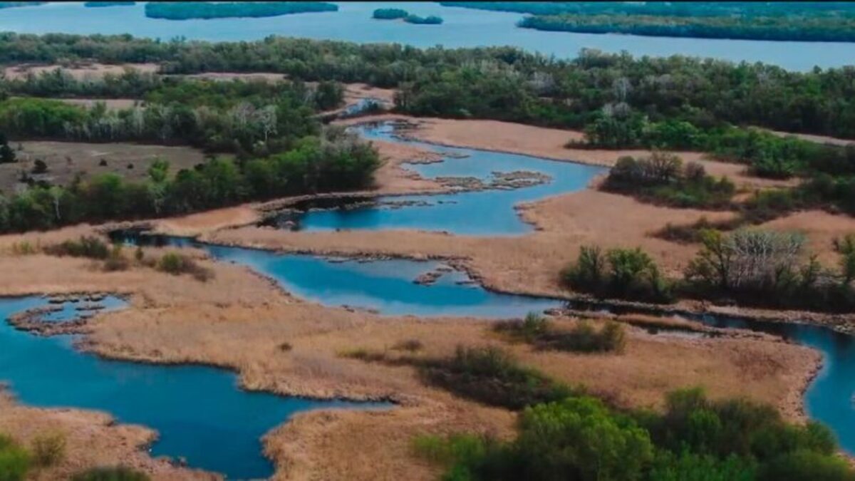 У Дніпрі відбудеться безкоштовний показ фільму про будні Дніпровсько-Орільського заповідника