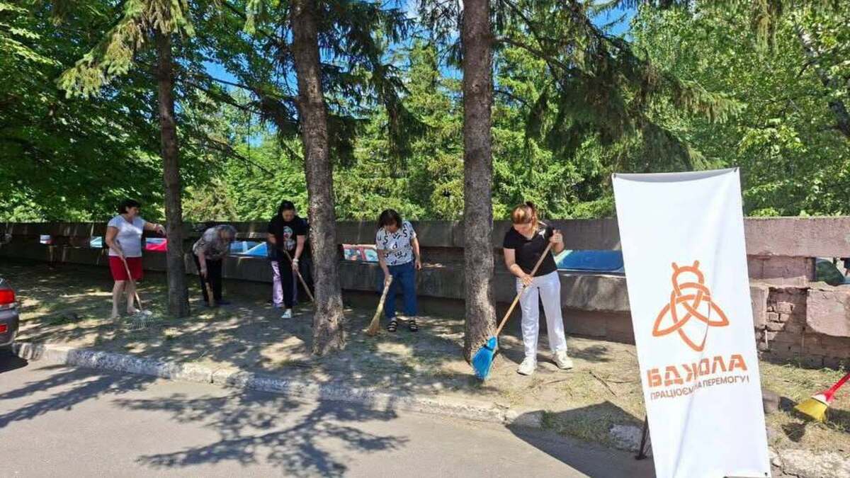 Святкова толока до Дня Конституції: єдність заради затишку та краси